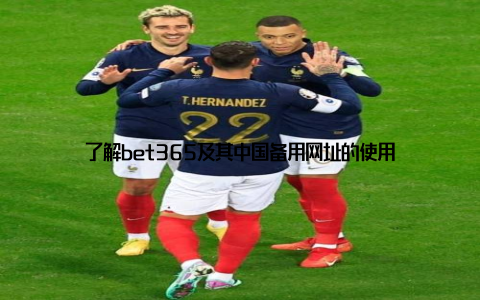 了解bet365及其中国备用网址的使用